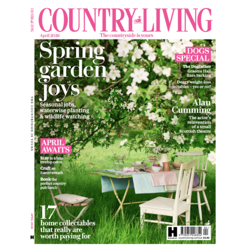 Country Living UK Celebrates Fifth Decade with Brand Refresh